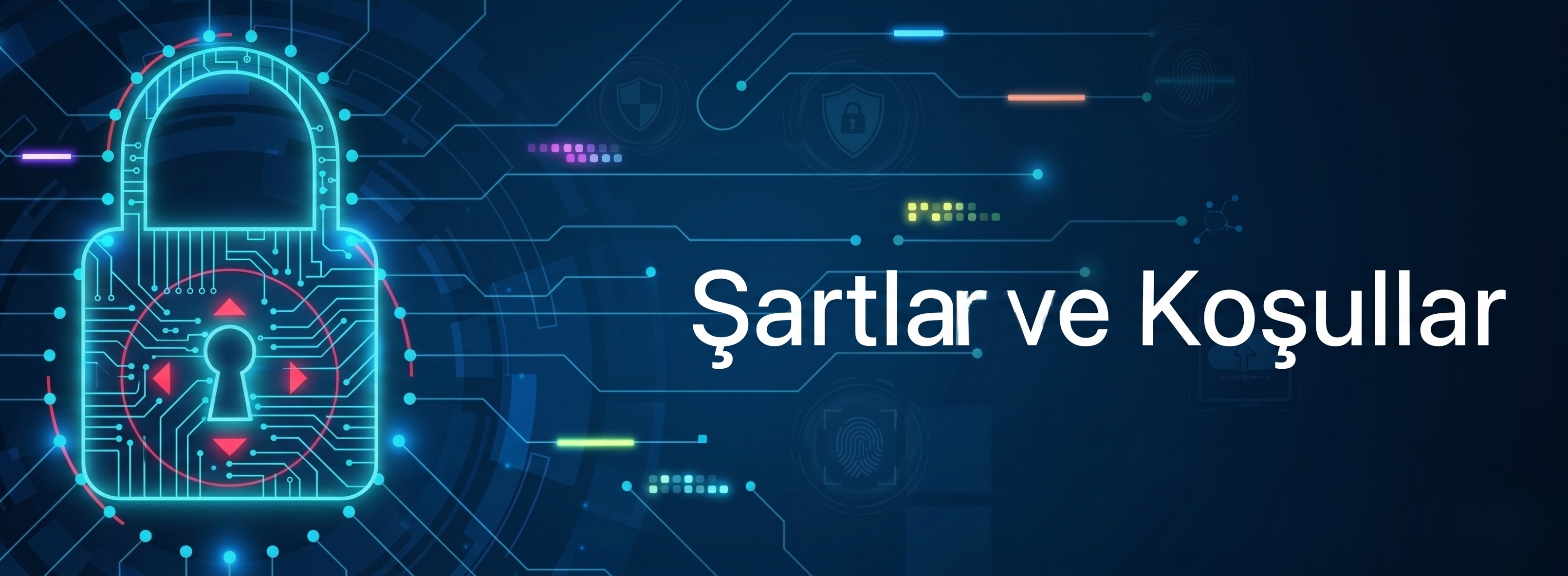 Gizlilik ve veri güvenliği